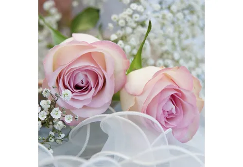 ti-flair Papierserviette, Servietten Papier 33x33cm 3lag. zarte Rosen mit Schleierkraut 20 Stück