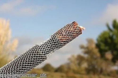 Korda Funnel Web Nachfüllung 5M Hexmesh / Karpfenangeln PVA