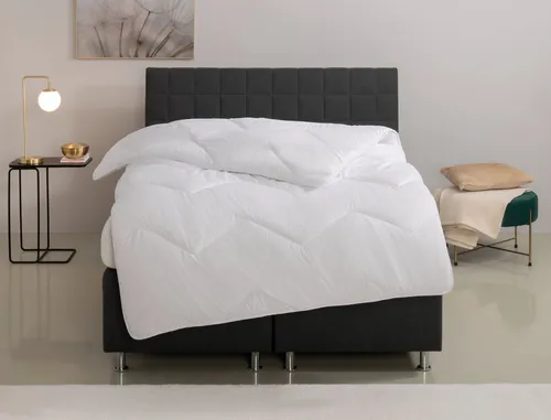 OTTO home Microfaserbettdecke Sartes, 135x200 cm - Die hochwertige Microfaserbettdecke »Sartes« von Home affaire bietet hohen Schlafkomfort mit flauschigem Bezug und weicher Füllung. Waschbar bei 60°C, ideal für entspannte Nächte.