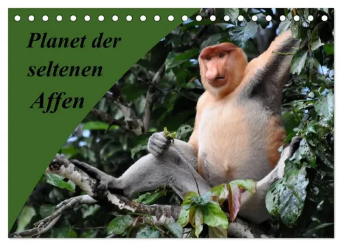 Anja Edel | Planet der seltenen Affen (Tischkalender 2026 DIN A5 quer),...