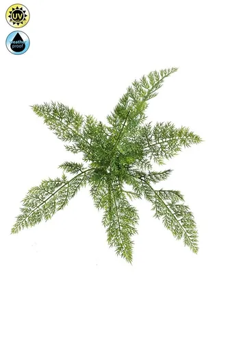 Künstliche Zimmerpflanze Asparagus Plumosus BLIZAL, 45cm - Kunstpflanze Asparagus Plumosus von artplants, ideal für Innenräume. Pflegeleicht und langlebig, bringt sie frisches Grün in jedes Zuhause.