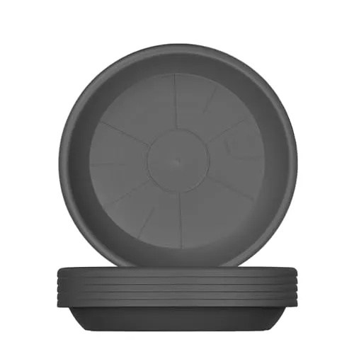 BigDean 6X Blumentopf Untersetzer Ø 19 cm Farbe Anthrazit Kunststoff Blumenuntersetzer Blumentopfuntersetzer passend zu Ø 20 cm Blumentöpfen