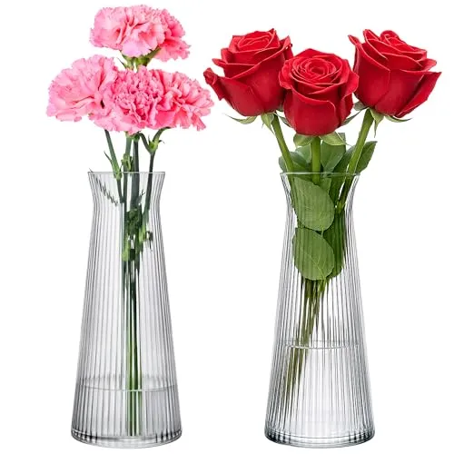 KONZEPT Glasvasen 25cm Hoch, 2er Set Glas Blumenvasen modern, Vasen rillen, klein, Deco für Pampasgras, Tulpen und Trockenblumen