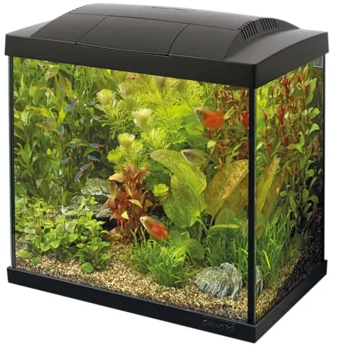 SuperFish SF Tropical Set 30 Aquarium schwarz in schwarz von SuperFish