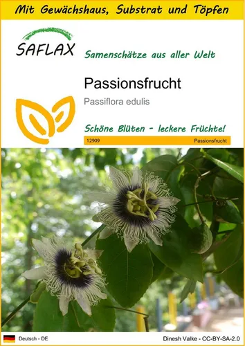 SAFLAX Blumensamen SAFLAX - Anzuchtset - Passionsfrucht