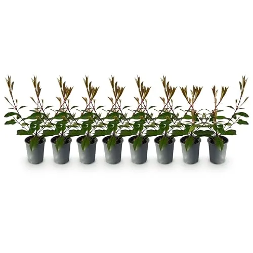 Produktbild GreenboutiQ