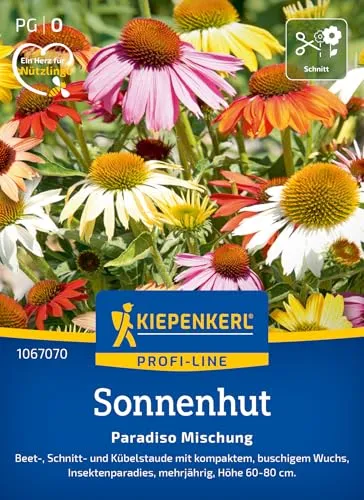 Kiepenkerl Profi-Line Sonnenhutsamen Paradiso Mischung 1067070 – Beet-, Schnitt- und Kübelstaude mit kompaktem Wuchs
