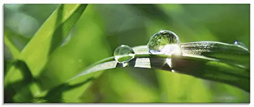 ARTland Wanddeko Glasbilder Wandbild Glas Bild einteilig 125x50 cm Querformat Natur Botanik Pflanzen Gräser Wassertropfen Gras Sommer Sonne Grün T5SE