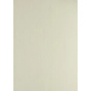 Clairefontaine Deckblätter 2704c Text und Cover, A4, Lederkarton, beige, 270 g/m², 100 Stück