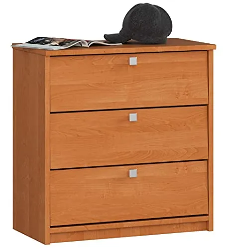 AKORD Schuhschrank mit 4 Schuhregalen und 3 Klapptüren | Schuhkipper | Schuhregal geschlossen | Schuhbank | Schuhaufbewahrung | B60 x H62 x T31 cm, Gewicht 21 kg | Farbe Erle