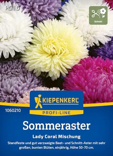 Kiepenkerl Profi-Line Sommerastersamen Lady Carol Mischung 1060210 – standfeste und gut verzweigte Beet- und Schnittaster - Pflanzensamen, Blumenmischung, Saatgut