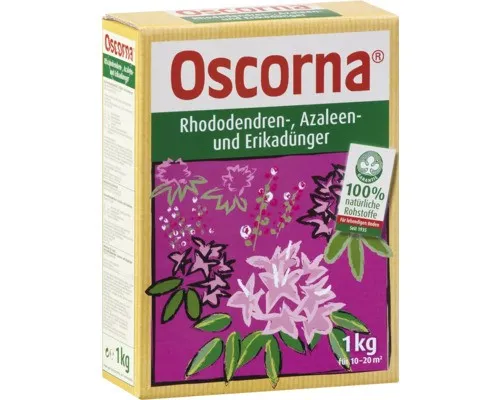 Produktbild Rhododendron,