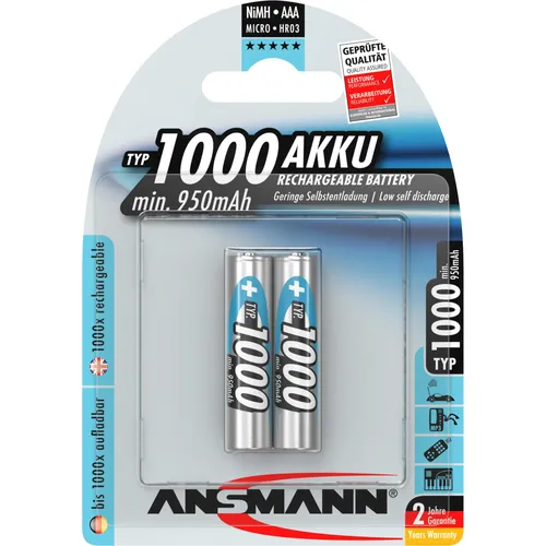 Ansmann Typ 1000 (2 Stk., AAA, 1000 mAh) (5030892) von Ansmann