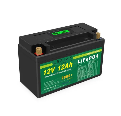 LERIAN POWER LiFePO4 Akku 12V 12Ah 15A Lithium-Eisen-Phosphat für Camping Solar Akku