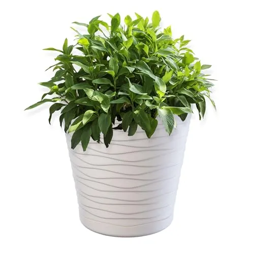 KADAX Blumentopf mit Untersetzer, Pflanzkübel für Innen, Leichter Blumenkübel, Pflanztopf aus Kunststoff, runder Übertopf für Blumen, Pflanzen, Haus, Pflanzgefäß (21cm, Creme)