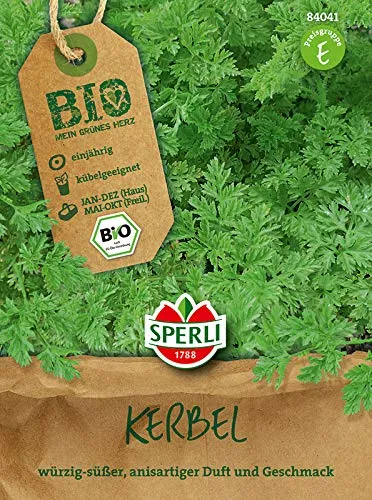 Kräutersamen - Bio-Kerbel Fijne Krul - Bio-Saatgut von Sperli-Samen