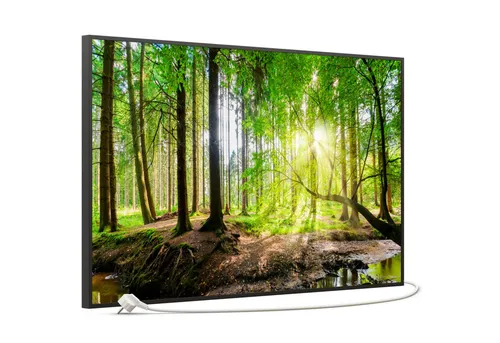 STEINFELD Heizsysteme Infrarotheizung, Bild, 600W 100x60cm, Inklusive Thermostat, viele Motive