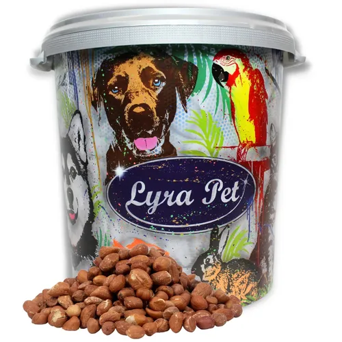 Erdnusskerne mit Haut Wildvogelfutter Lyra Pet® 10 kg Tonne - Hochwertiges Einzelfuttermittel für Wildvögel, ideal für die Fütterung im Garten. Aus der neuen Ernte und sorgfältig ausgewählt für beste Qualität.