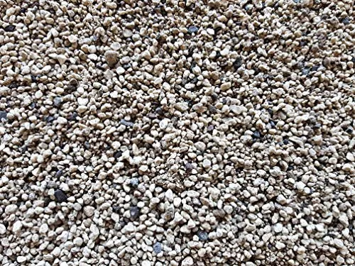 Der Naturstein Garten Premium Bims (Edelbims) 25 kg – für Pflanzen, Bonsai, Kakteen, Dachbegrünung, gewaschen & gesiebt