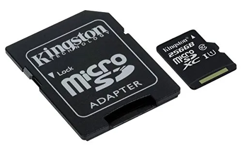 Kingston SDCS/256GB MicroSD Canvas Select Geschwindigkeiten der Klasse 10 UHS-I – bis zu 80 MB/s Lesezugriff (mit SD-Adapter)- Erwecken Sie HD-Videos zum Leben