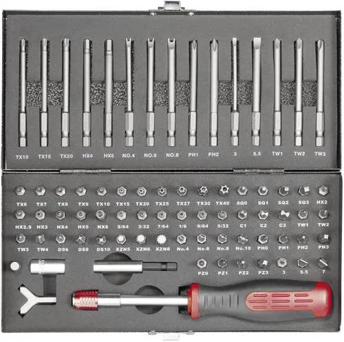 TOOLCRAFT HT02183 820952 Bit-Set 75-teilig - inkl. Tieflochbits, ideal für Spezialschrauben mit ergonomischem 2-Komponenten-Griff