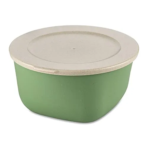 Koziol Connect Box 2 mit Deckel aus Kunststoff in der Farbe Nature Leaf Green 2L, Maße: 21cm x 20,5cm x 10,5cm, 7871703