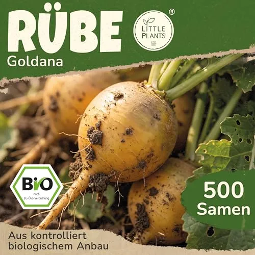 Saatgut von Little Plants