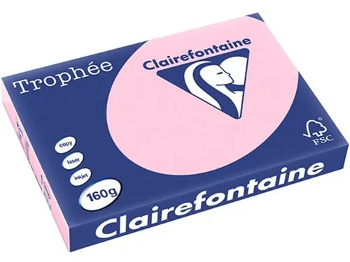 Clairefontaine Rosa A3 Farbiges Papier 160 g/m² (250 Blatt) in pink von Clairefontaine