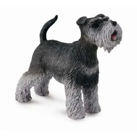 Schnauzer 004-88752