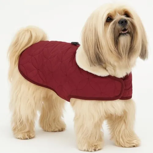 Flamingo Hundemantel Winter – Koda Bordeaux 35cm
