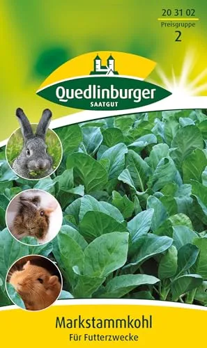 Quedlinburger Saatgut - Markstammkohl Samen von Quedlinburger