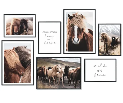 Hyggelig Home Poster Islandpferde, Premium Poster Set OHNE & MIT Rahmen - Wandbilder Horses, Tier (Set, 7 St), Collage Pferde Qualitätsdruck auf dickem Papier