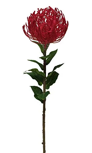 2474U Kunst-Stielblume Nadelkissenblüte Rot ca. 72cm naturgetreue Blüte Seidenblume
