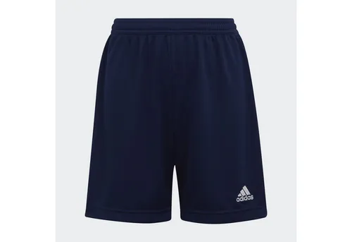Shorts Blau von adidas