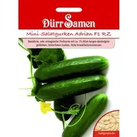Produktbild Dürr Samen Mini-Gurken Adrian F1 Rz Saatgut
