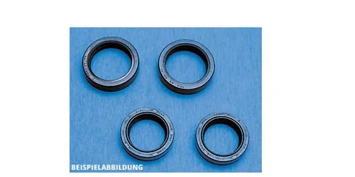 Paaschburg & Wunderlich GmbH Motorradhose Gabelsimmerring-Satz A 067