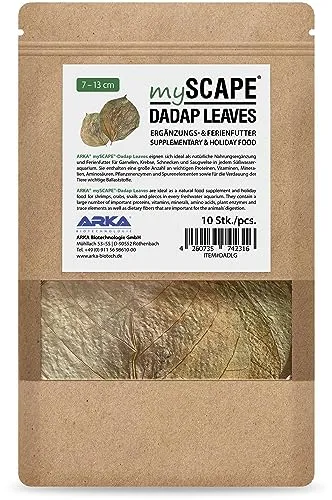 ARKA mySCAPE-DADAP Leaves - 7-13 cm / 10 Stück - Natürliches Ferienfutter für Garnelen, Schnecken & Saugwelse, fördert Gesundheit in Süßwasseraquarien.