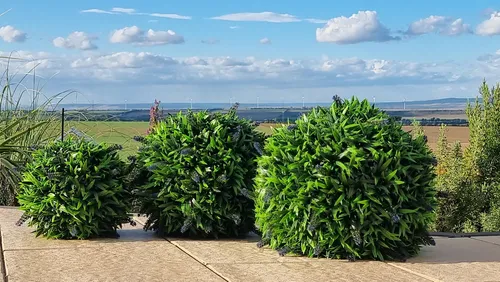Kunstpflanze Lavendel Kugel - Immergrün und Dekorativ - Dekorative Lavendel-Kugel aus hochwertigem Kunststoff, erhältlich in 3 Größen. Ideal für Innen- und Außenbereiche – das ganze Jahr über ein Blickfang ohne Pflegeaufwand.