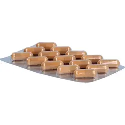 Fertilovit M Plus Kapseln