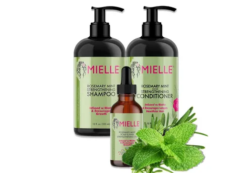 Mielle Organics Haarpflege-Set mit Rosmarin - Haarpflege-Set mit Shampoo, Conditioner, Maske und Öl, angereichert mit Rosmarin und Minze für tiefgehende Pflege und Regeneration. Ideal für alle Haartypen und fördert gesundes, geschmeidiges Haar.