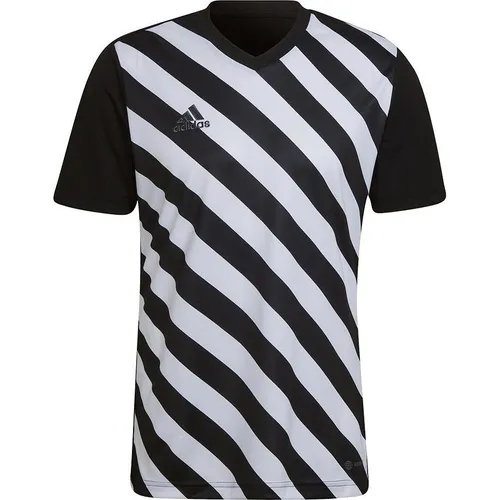 adidas Entrada 22 Graphic Fussballtrikot Herren (S) (35234234)