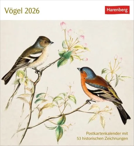 Vögel Postkartenkalender 2026