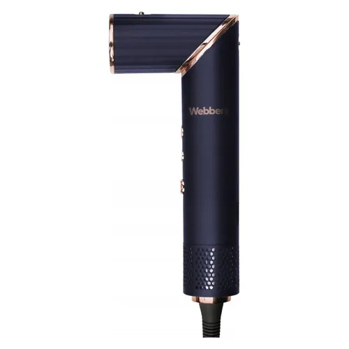 Webber Haartrockner und Styler 5in1 CELIA (49854689)