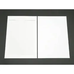 Versandtaschen C3 120g/qm mit Papprückwand - 100 Stück - Praktische Versandtaschen im Format 324x457 mm (DINC3) mit Haftklebung. Ideal für sicheren Versand ohne Fenster. Hohe Grammatur von 120 g/qm für zuverlässigen Schutz der Inhalte.