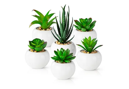 Künstliche Sukkulente im Hochglanz-Keramiktopf - Kunstpflanzen für pflegeleichte Deko – diese künstliche Sukkulente bringt frischen Akzent in jedes Zuhause, ideal für Wohnzimmer, Bad oder Büro und ganz ohne Pflegeaufwand.