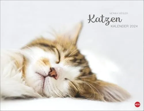 Katzenkalender 2024. Wandkalender mit 12 traumhaft schönen Fotos der renommierten Fotografin Monika Wegler. Tierkalender 2024. Querformat 44x34 cm.