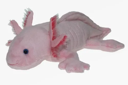 Cornelissen Kuscheltier Axolotl 29 cm - Rosa, weicher Plüschfreund und ideales Geschenk für Kindergeburtstage oder Mottopartys
