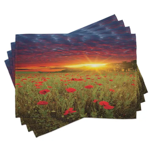Blume Platrzmatten Wiese Poppies Himmel Platzmatten 4er Set Waschbar