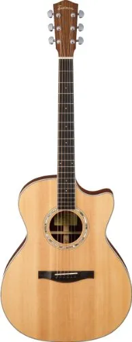 Eastman AC422CE