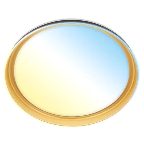 Deckenleuchte LED Dimmbar mit Fernbedienung 24W Ø51cm Schwarz Gold - Moderne Deckenlampe mit dimmbarer CCT-Funktion und Fernbedienung, ideal für jeden Raum. Genießen Sie flexibles Licht mit Farbwechsel zwischen Warm- und Kaltweiß.